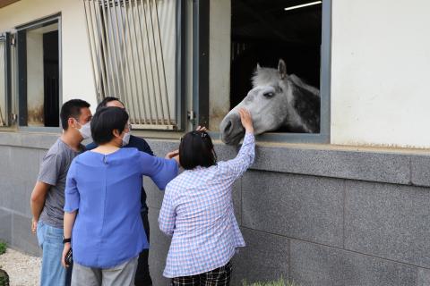 포토자료실 이미지